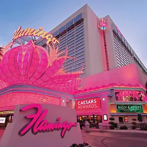 Flamingo Vegas & Casino 3* לאס וגאס